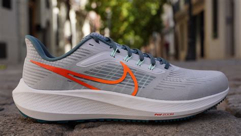 Nike Pegasus 39 men's